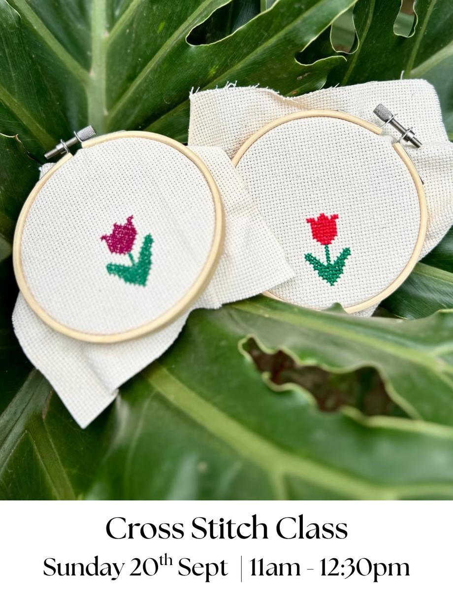 Beginner Cross Stitch Class